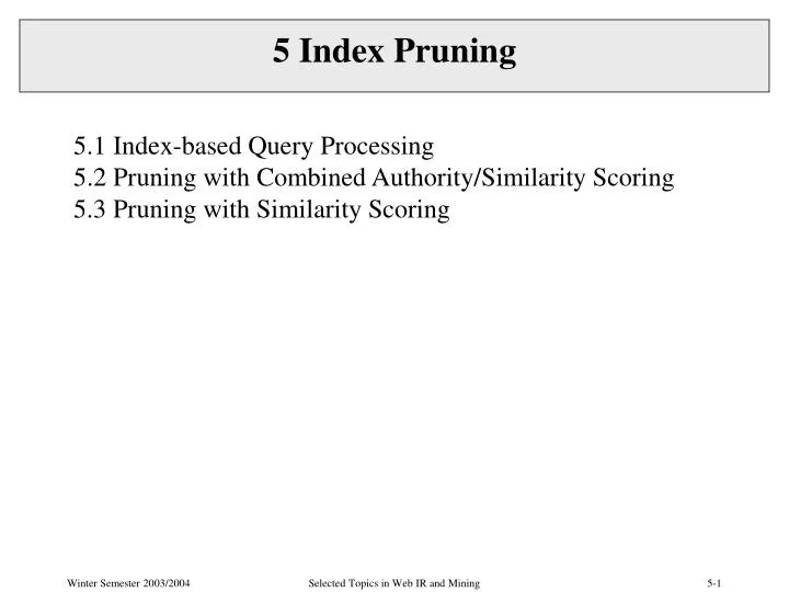 5 index pruning