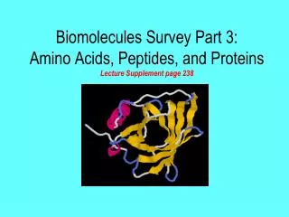 Biomolecules Survey Part 3: Amino Acids, Peptides, and Proteins Lecture Supplement page 238