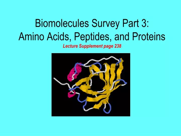 biomolecules survey part 3 amino acids peptides and proteins lecture supplement page 238