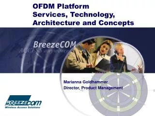 OFDM Platform Services, Technology, Architecture and Concepts