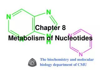 Chapter 8 Metabolism of Nucleotides