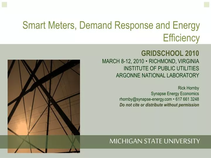 smart meters demand response and energy efficiency