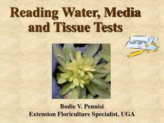 Reading Water, Media and Tissue Tests