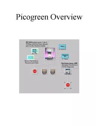 Overview of Picogreen