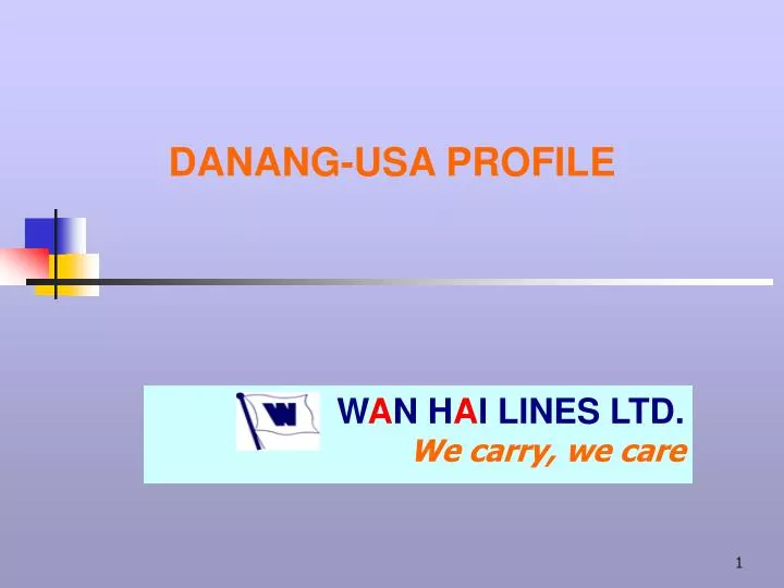 danang usa profile