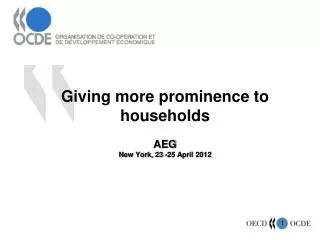 Giving more prominence to households AEG New York, 23 -25 April 2012
