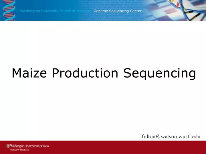 maize production sequencing