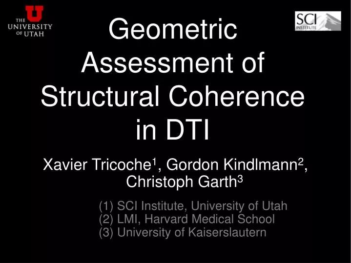 geometric assessment of structural coherence in dti