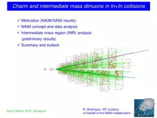 Charm and intermediate mass dimuons in In+In collisions