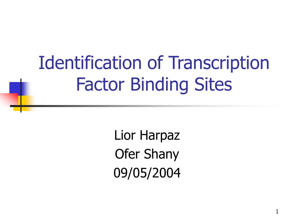 PPT - Identification of Transcription Factor Binding Sites PowerPoint ...