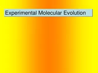 Experimental Molecular Evolution