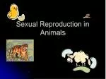 Sexual Reproduction in Animals