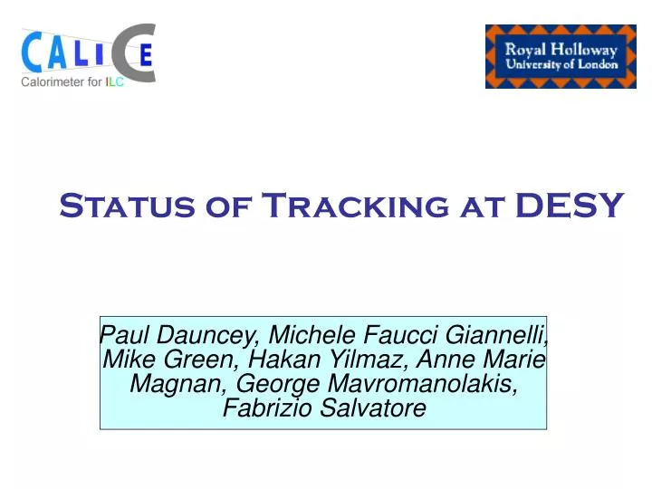 status of tracking at desy