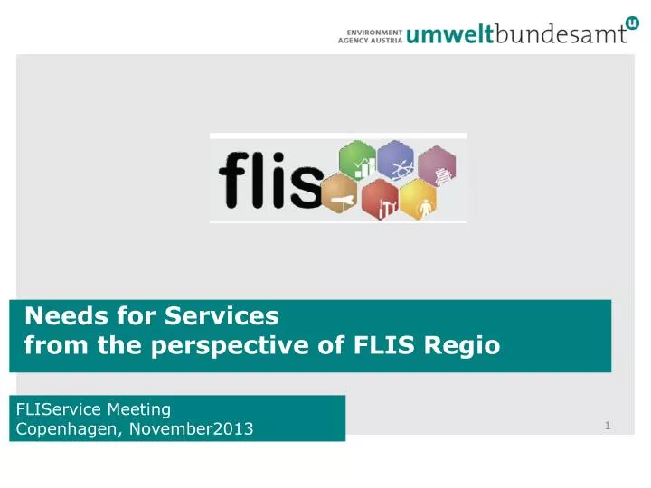 needs for services from the perspective of flis regio