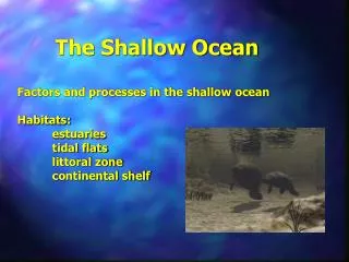 The Shallow Ocean