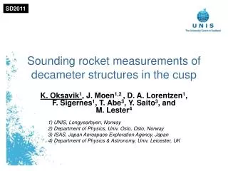 Sounding rocket measurements of decameter structures in the cusp