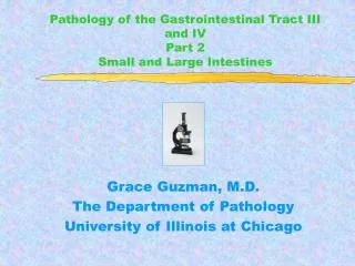 Pathology of the Gastrointestinal Tract III and IV Part 2 Small and Large Intestines