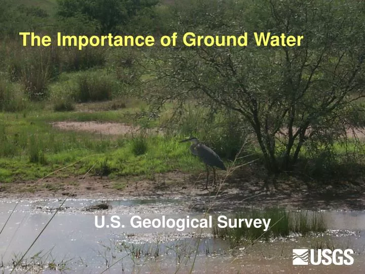 the importance of ground water