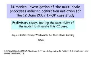 Preliminary study: testing the sensitivity of the model to simulate this CI case.