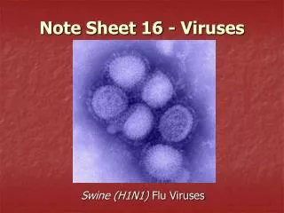 Note Sheet 16 - Viruses