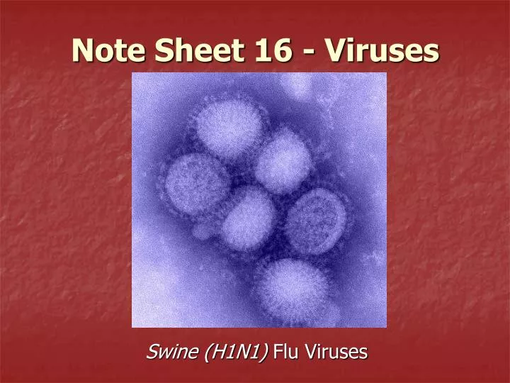 note sheet 16 viruses