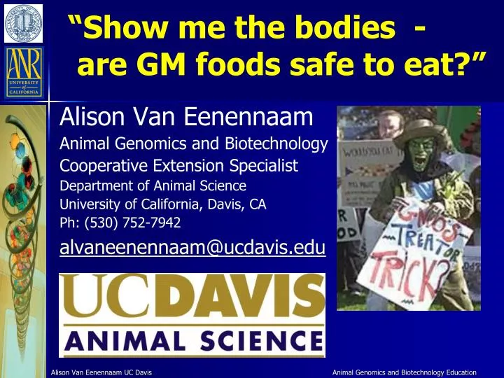 show me the bodies are gm foods safe to eat
