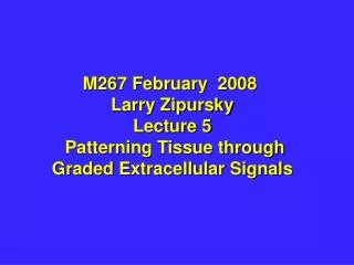 M267 February 2008 Larry Zipursky Lecture 5 Patterning Tissue through