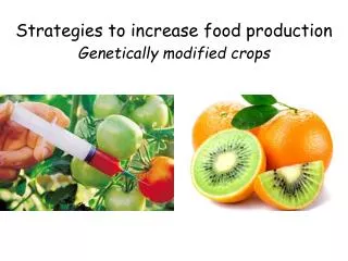 Strategies to increase food production Genetically modified crops