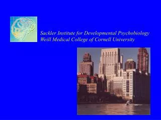 Sackler Institute for Developmental Psychobiology Weill Medical College of Cornell University