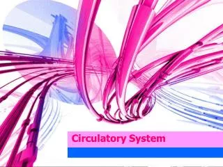 circulatory system