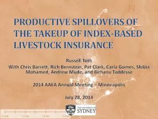 Productive spillovers of The Takeup of index-based livestock insurance