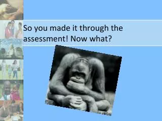 So you made it through the assessment! Now what?