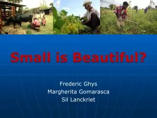 Small is Beautiful ? Frederic Ghys Margherita Gomarasca Sil Lanckriet