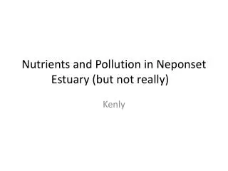 Nutrients and Pollution in Neponset Estuary (but not really)