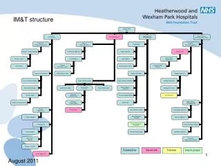 im t structure