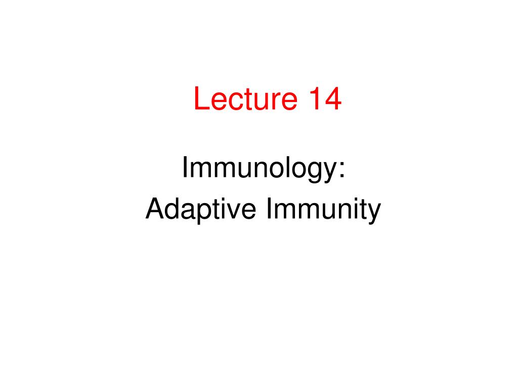 PPT - Lecture 14 PowerPoint Presentation, free download - ID:4497432