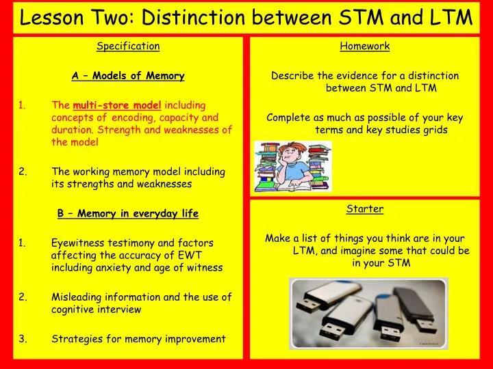 lesson two distinction between stm and ltm