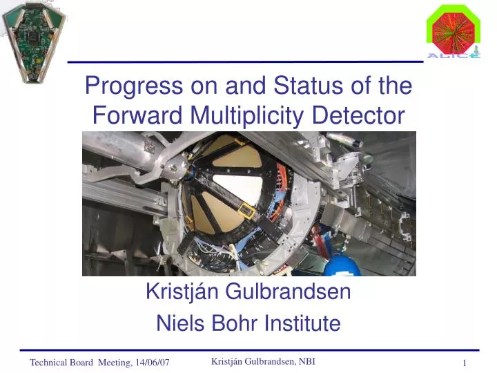 progress on and status of the forward multiplicity detector