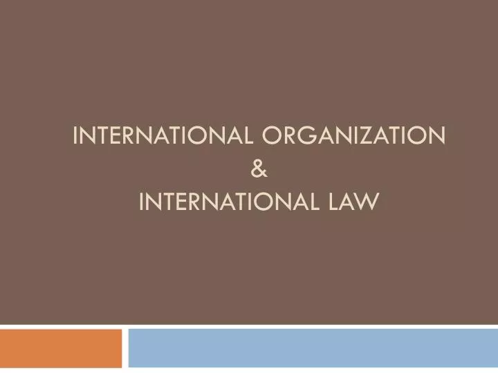 international organization international law