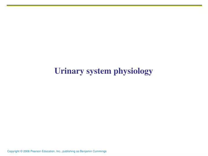 urinary system physiology
