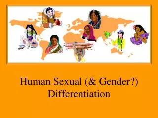 Human Sexual (&amp; Gender?) Differentiation