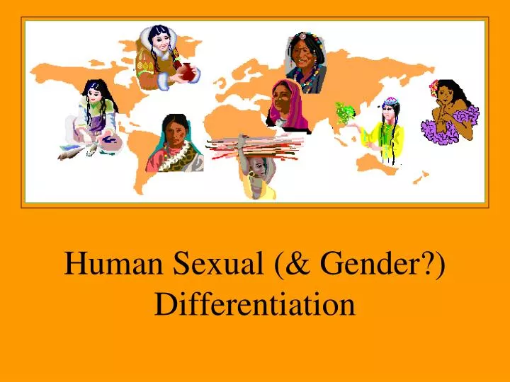 human sexual gender differentiation