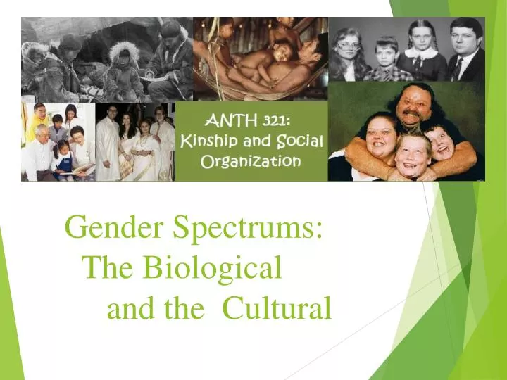 gender spectrums the biological and the cultural