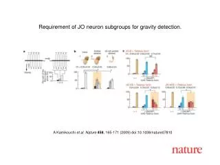 A Kamikouchi et al. Nature 45 8 , 165 - 171 (2009) doi:10.1038/nature07 810