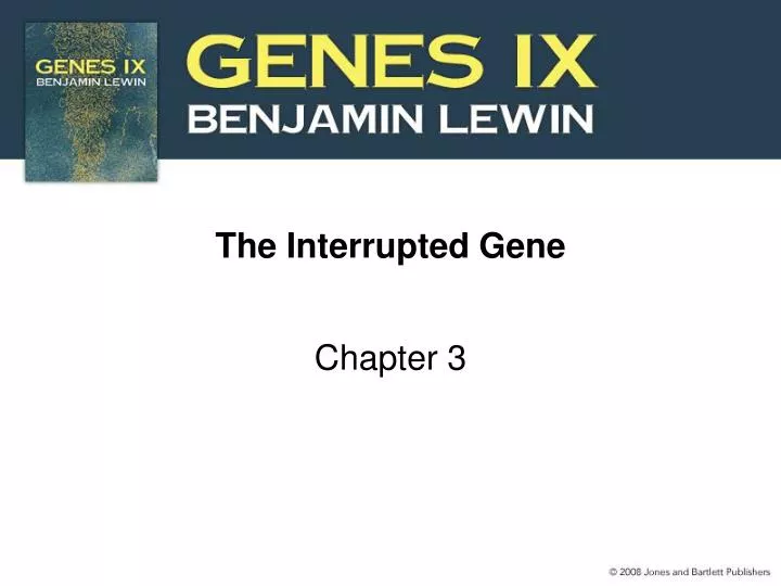 the interrupted gene