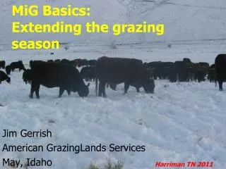 MiG Basics: Extending the grazing season