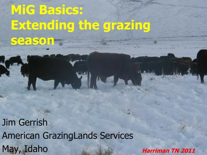 mig basics extending the grazing season