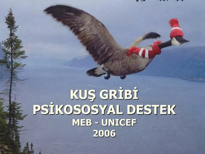 ku gr b ps kososyal destek meb unicef 2006