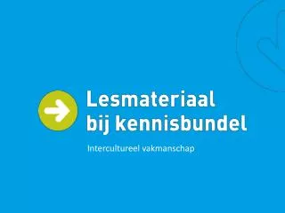 intercultureel vakmanschap