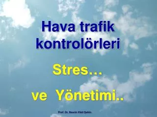 hava trafik kontrol rleri